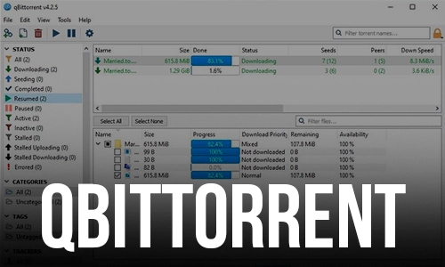 qBittorrent